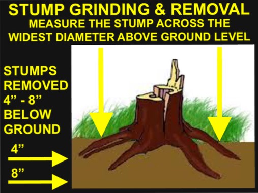 Stump Measure 04